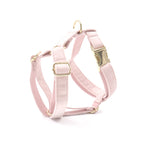 Cotton Candy Pink Collar, Harness, Bow/Bowtie, Leash, and Waste Bag Holder