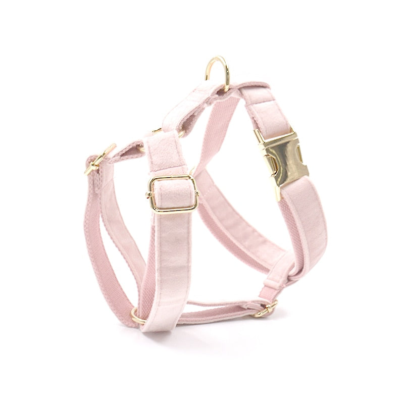 Cotton Candy Pink Collar, Harness, Bow/Bowtie, Leash, and Waste Bag Holder