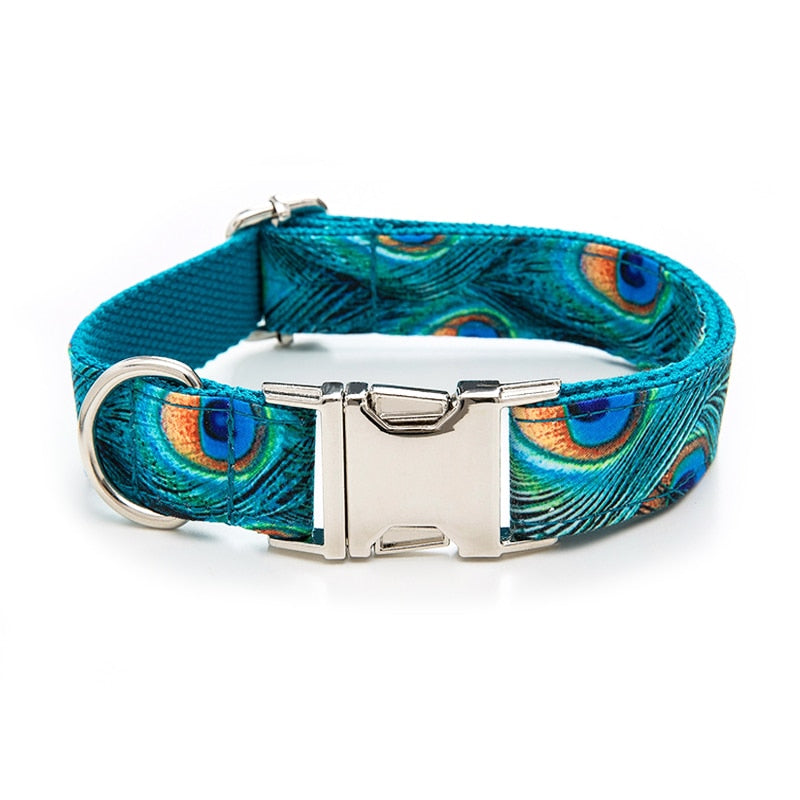 Penny Peacock Collar, Bow, and Leash