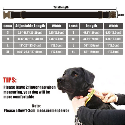 Go Bananas! Collar and Leash