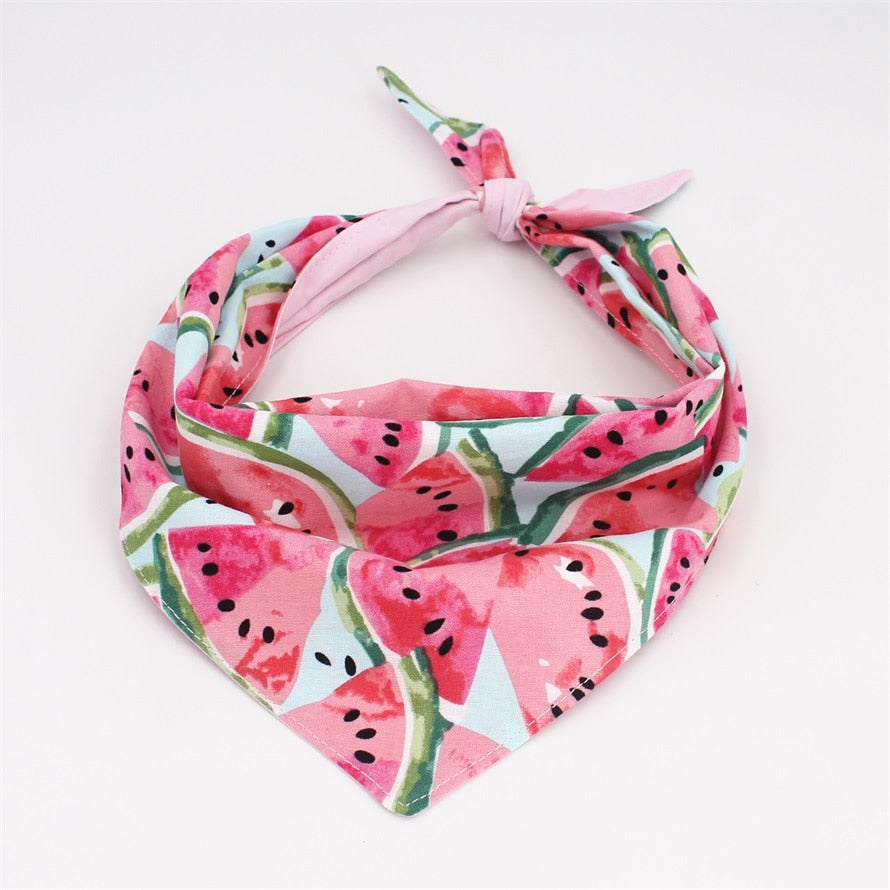 Delectable Watermelon Collar, Leash, Bow/bowtie, Harness, and Bandana