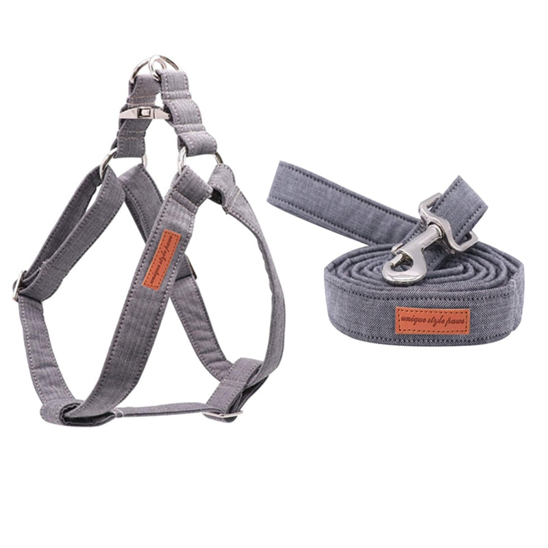 Galloping Grey Harness, Bow/Bowtie, and Leash