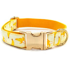 Go Bananas! Collar and Leash
