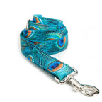 Penny Peacock Collar, Bow, and Leash