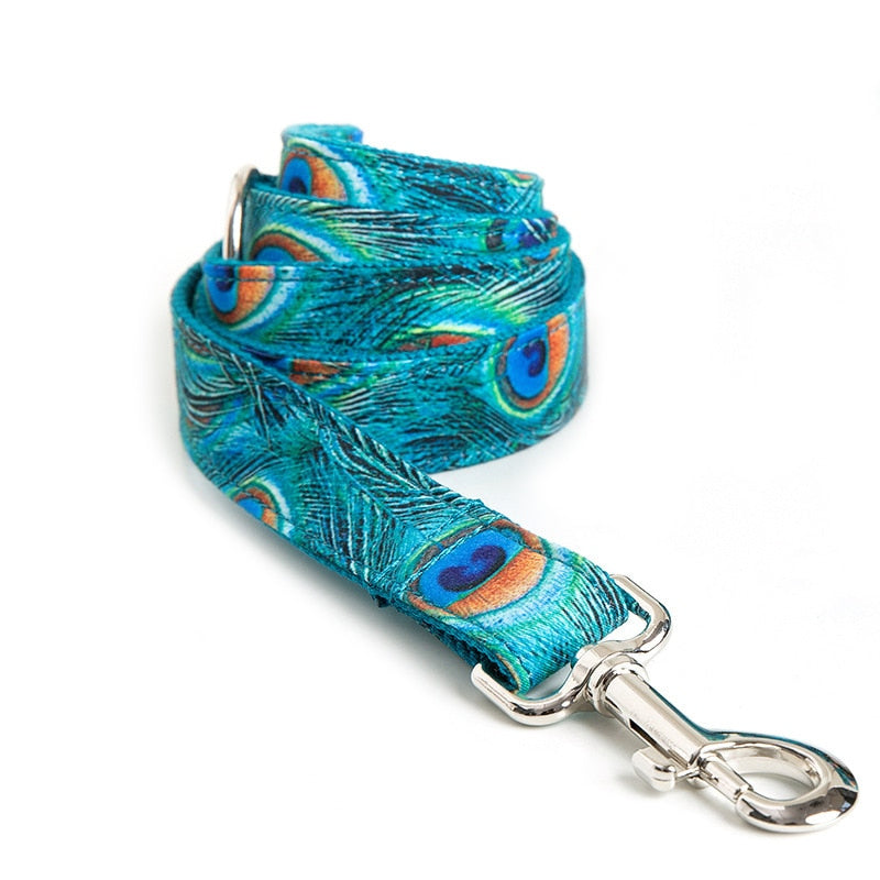 Penny Peacock Collar, Bow, and Leash