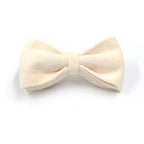 Soft White Velvet Collar, Harness, Bow/Bowtie, Leash, and Waste Bag Holder