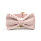 Cotton Candy Pink Collar, Harness, Bow/Bowtie, Leash, and Waste Bag Holder