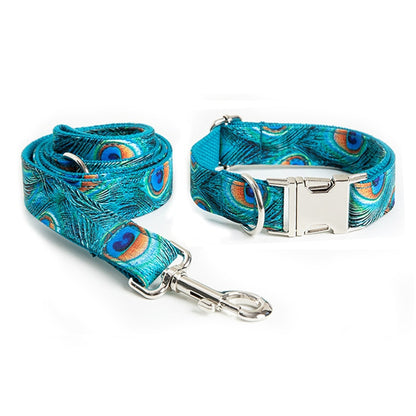 Penny Peacock Collar, Bow, and Leash on dog — dog collar close-up | Cutie Paw Co.