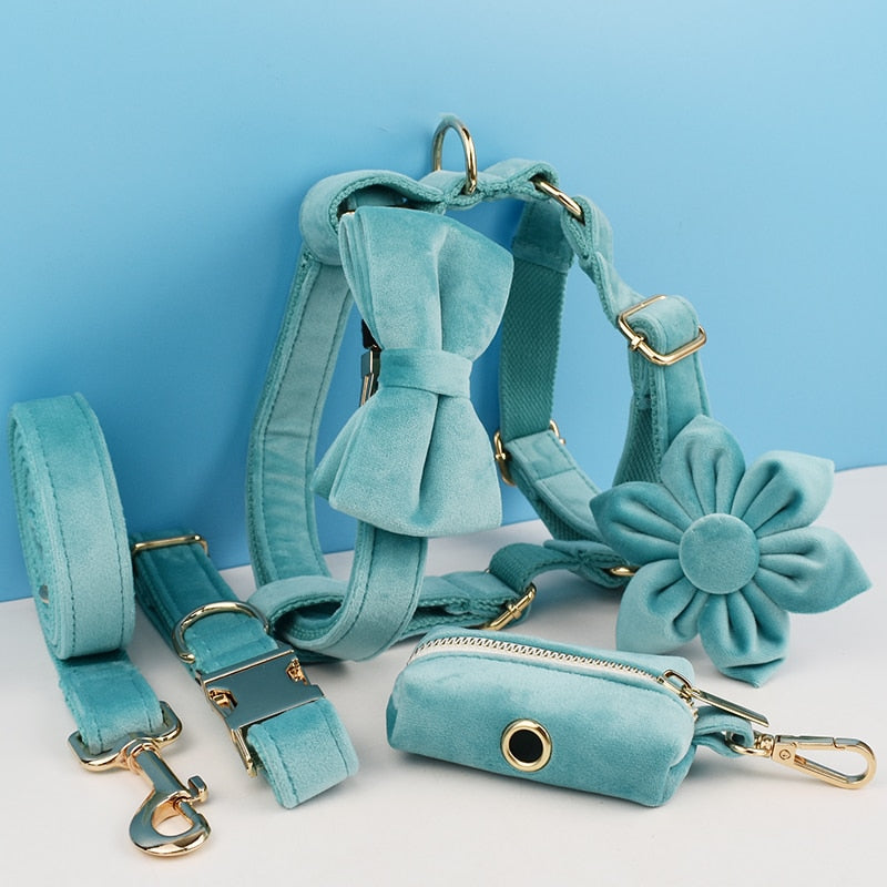 Everly Turquoise Harness, Collar, and Leash Set