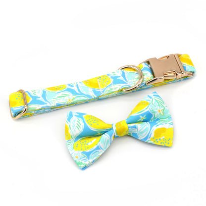 Zingy Lemon Collar, Bow/Bowtie, and Leash