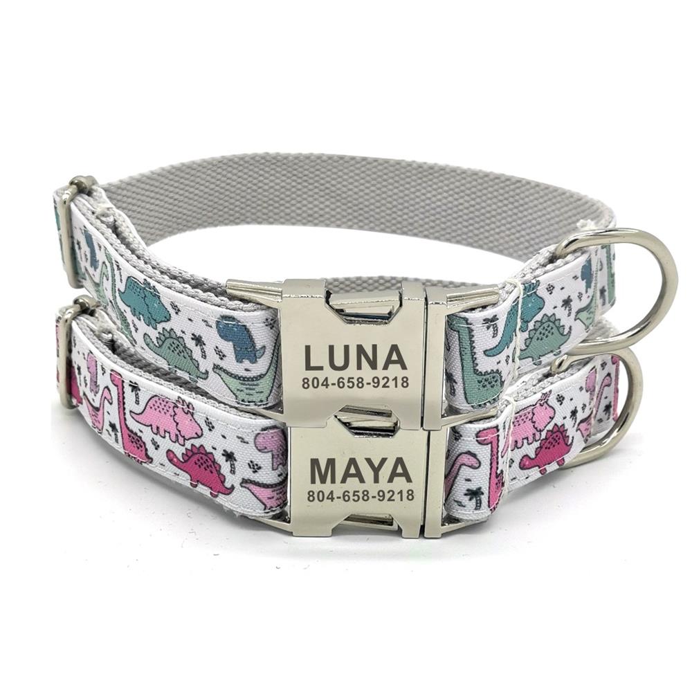 Dino-Mite Collar and Leash
