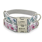 Dino-Mite Collar and Leash