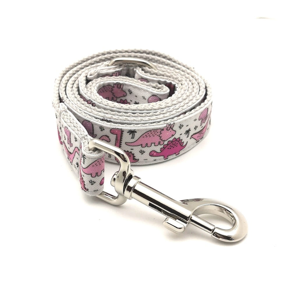 Dino-Mite Collar and Leash