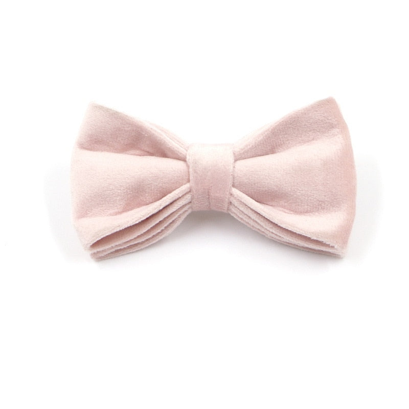 Cotton Candy Pink Collar, Harness, Bow/Bowtie, Leash, and Waste Bag Holder