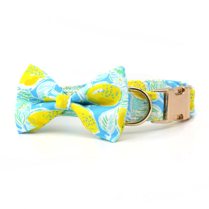 |14:29#collar bow;5:100014066|14:29#collar bow;5:100014064|14:29#collar bow;5:361386|14:29#collar bow;5:361385|3256804200960576-collar bow-XS|3256804200960576-collar bow-S|3256804200960576-collar bow-M|3256804200960576-collar bow-L