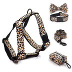 Leaping Leopard Collar, Bow/Bowtie, Leash, Harness, and Waste Bag Holder