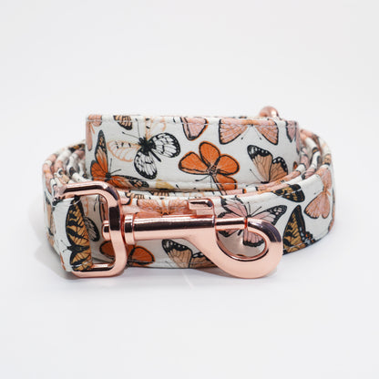 Mariposa Collar, Harness & Leash Set