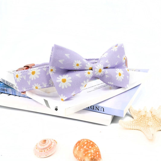 Lavender Daisy Collar, Leash, and Bow