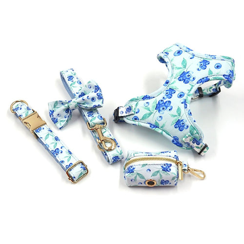 Bella Blueberry Collar, Harness, Leash, Bow, and Waste Bag Holder