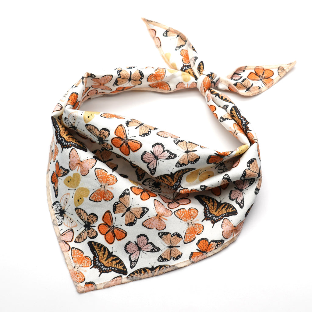 Mariposa Collar, Harness, Leash, Bow, Flower, Bandana, and Waste Bag Holder