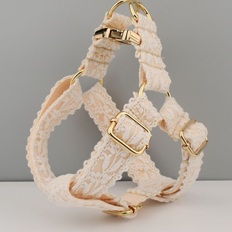 Chic Harness