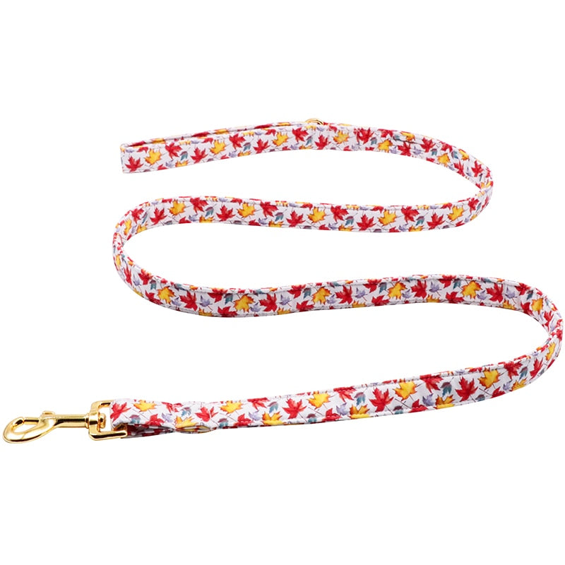 Maple Collar, Leash, and Bow or Flower