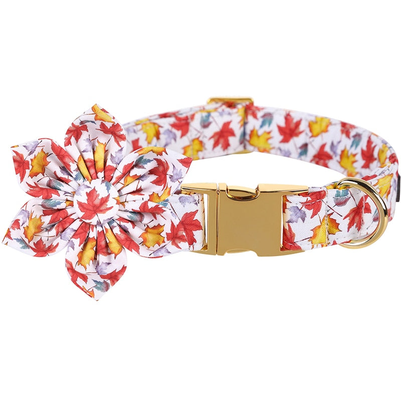 Maple Collar, Leash, and Bow or Flower