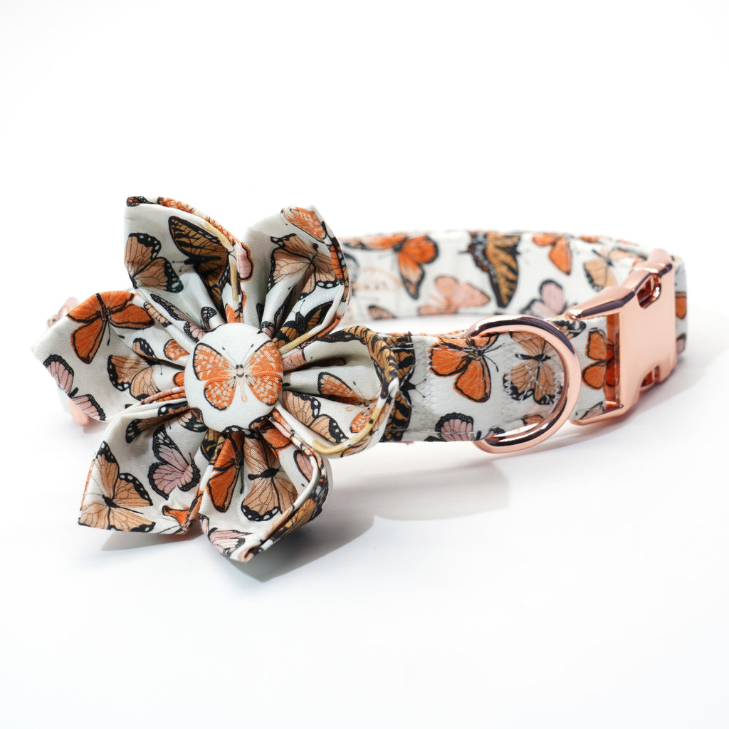 Mariposa Collar, Harness, Leash, Bow, Flower, Bandana, and Waste Bag Holder