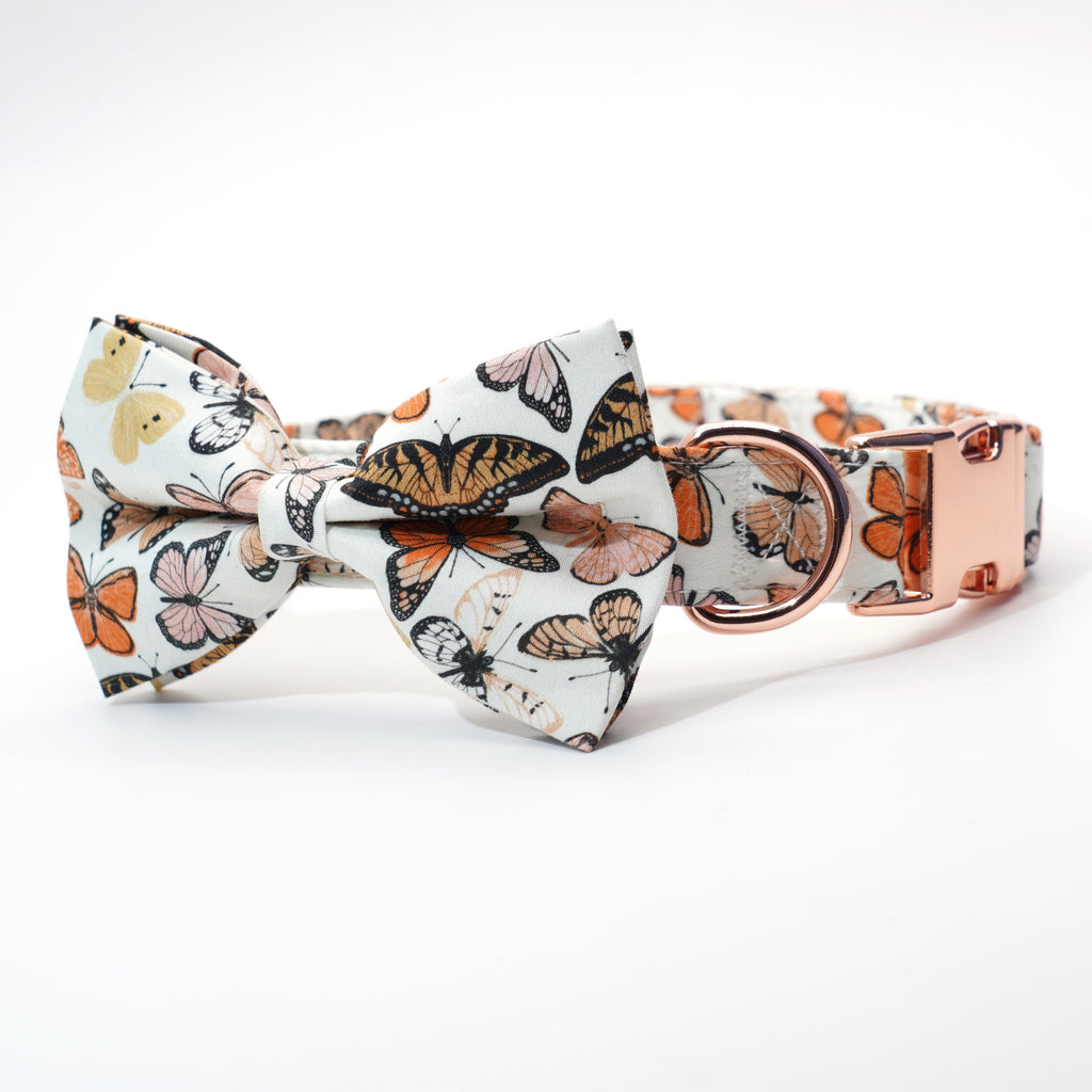 Mariposa Collar, Harness, Leash, Bow, Flower, Bandana, and Waste Bag Holder