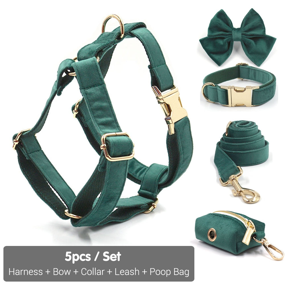 Kelly Green Velvet Collar, Harness, Bow/Bowtie, Leash, and Waste Bag Holder