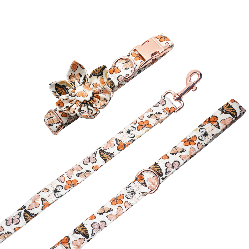 Mariposa Collar, Harness, Leash, Bow, Flower, Bandana, and Waste Bag Holder