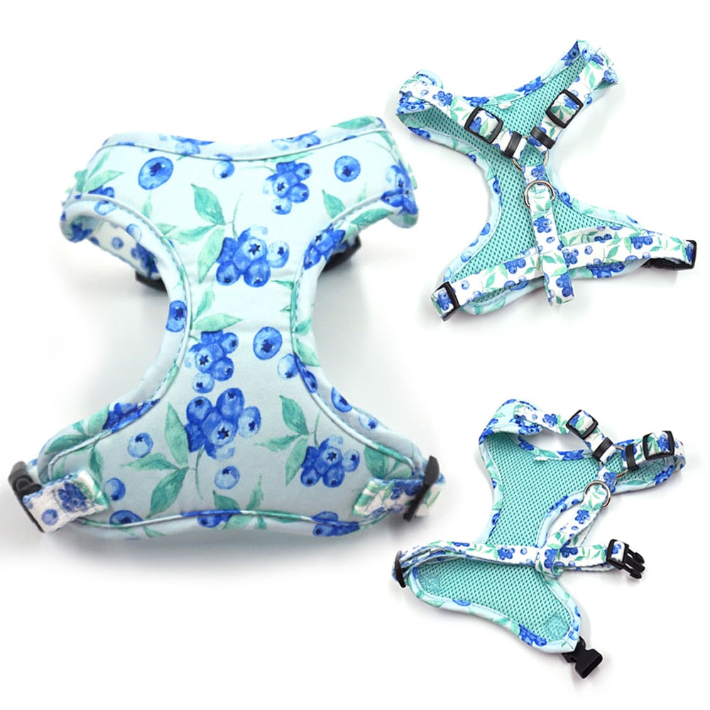 Bella Blueberry Collar, Harness, Leash, Bow, and Waste Bag Holder