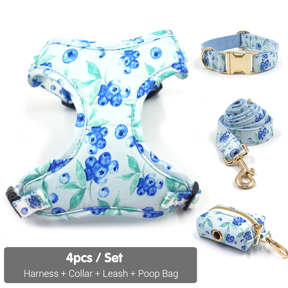 Bella Blueberry Collar, Harness, Leash, Bow, and Waste Bag Holder