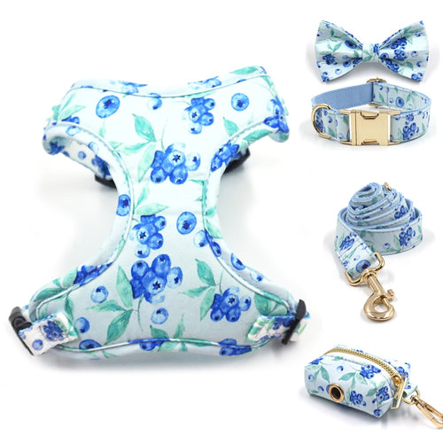 Bella Blueberry Collar, Harness, Leash, Bow, and Waste Bag Holder