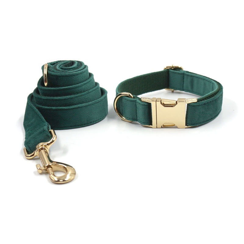 Kelly Green Velvet Collar, Harness, Bow/Bowtie, Leash, and Waste Bag Holder