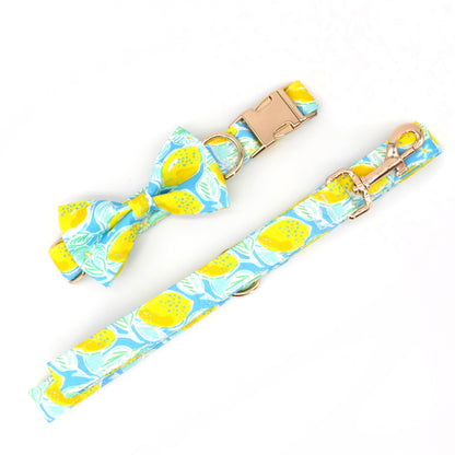 Zingy Lemon Collar, Bow/Bowtie, and Leash