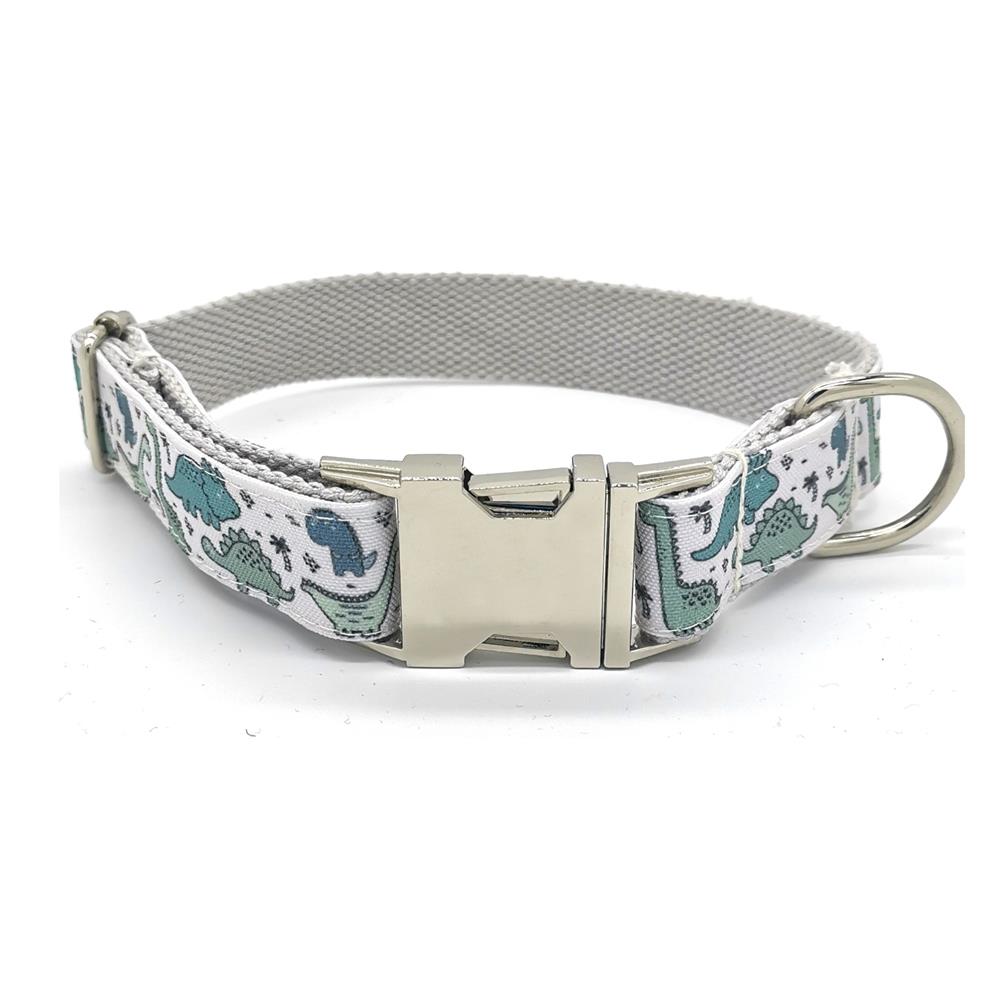 Dino-Mite Collar and Leash