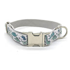 Dino-Mite Collar and Leash