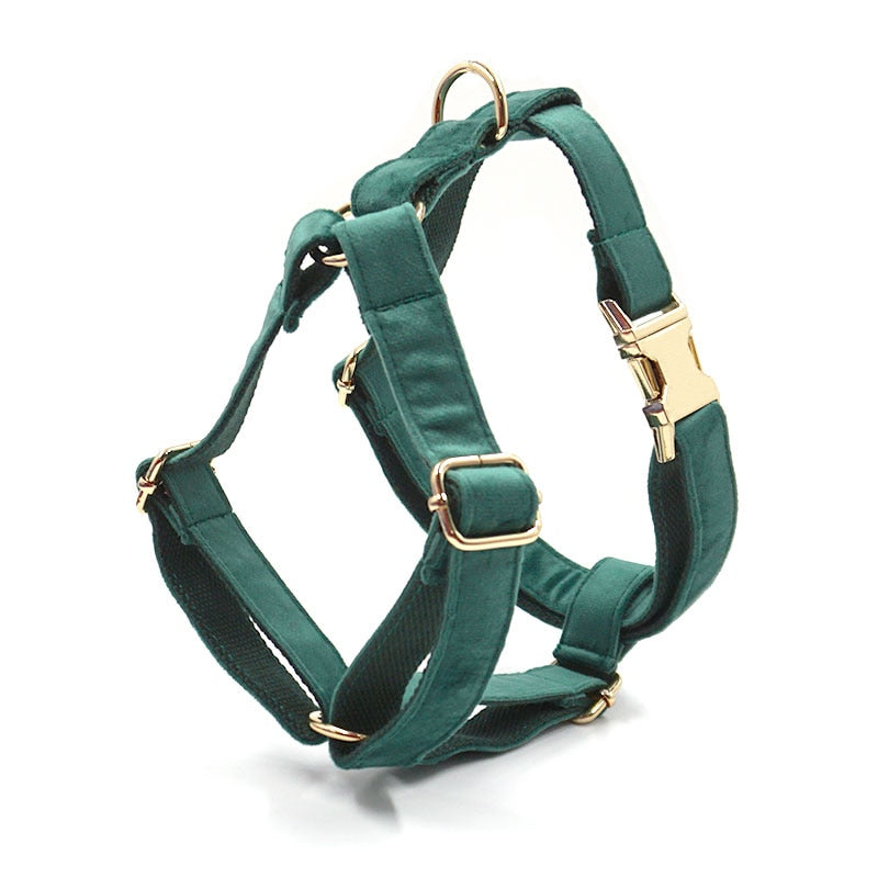 Kelly Green Velvet Collar, Harness, Bow/Bowtie, Leash, and Waste Bag Holder