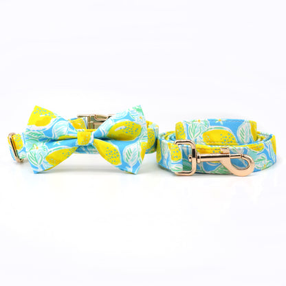 Zingy Lemon Collar, Bow/Bowtie, and Leash