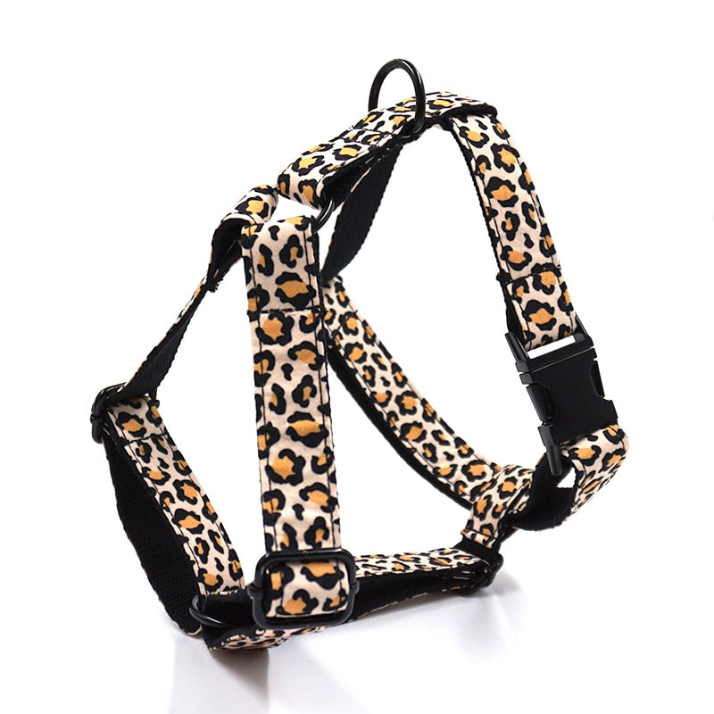 Leaping Leopard Collar, Bow/Bowtie, Leash, Harness, and Waste Bag Holder