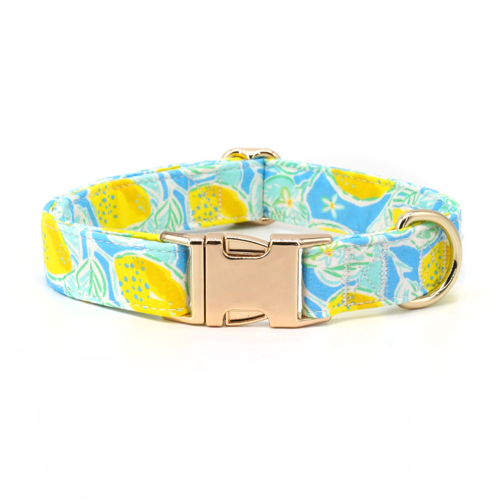 Zingy Lemon Collar, Bow/Bowtie, and Leash