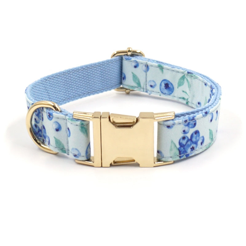 Bella Blueberry Collar, Harness, Leash, Bow, and Waste Bag Holder