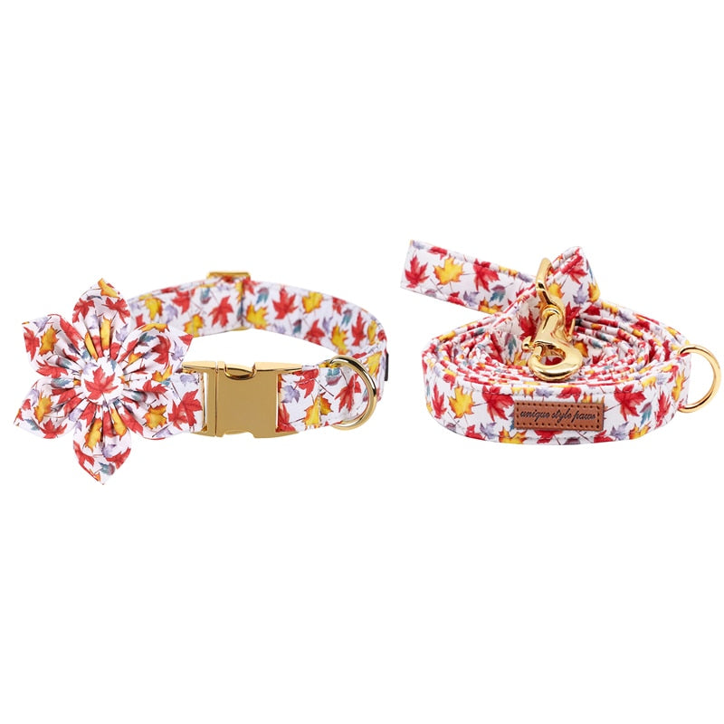 Maple Collar, Leash, and Bow or Flower