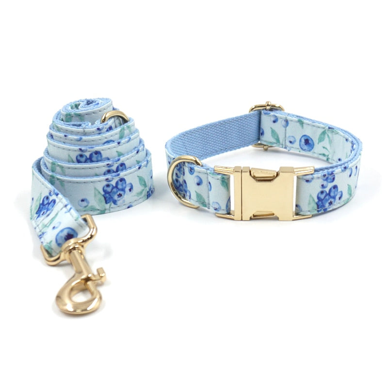 Bella Blueberry Collar, Harness, Leash, Bow, and Waste Bag Holder