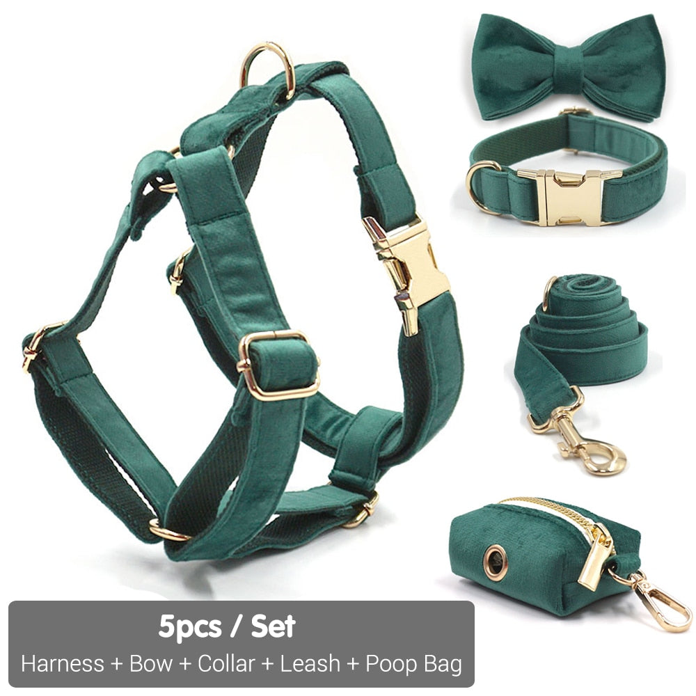 Kelly Green Velvet Collar, Harness, Bow/Bowtie, Leash, and Waste Bag Holder