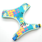 Plainly Abstract Collar, Harness, Leash, Bow/Bowtie, and Flower