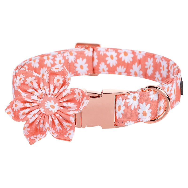 Zinni Daisy Collar and Bow or Flower