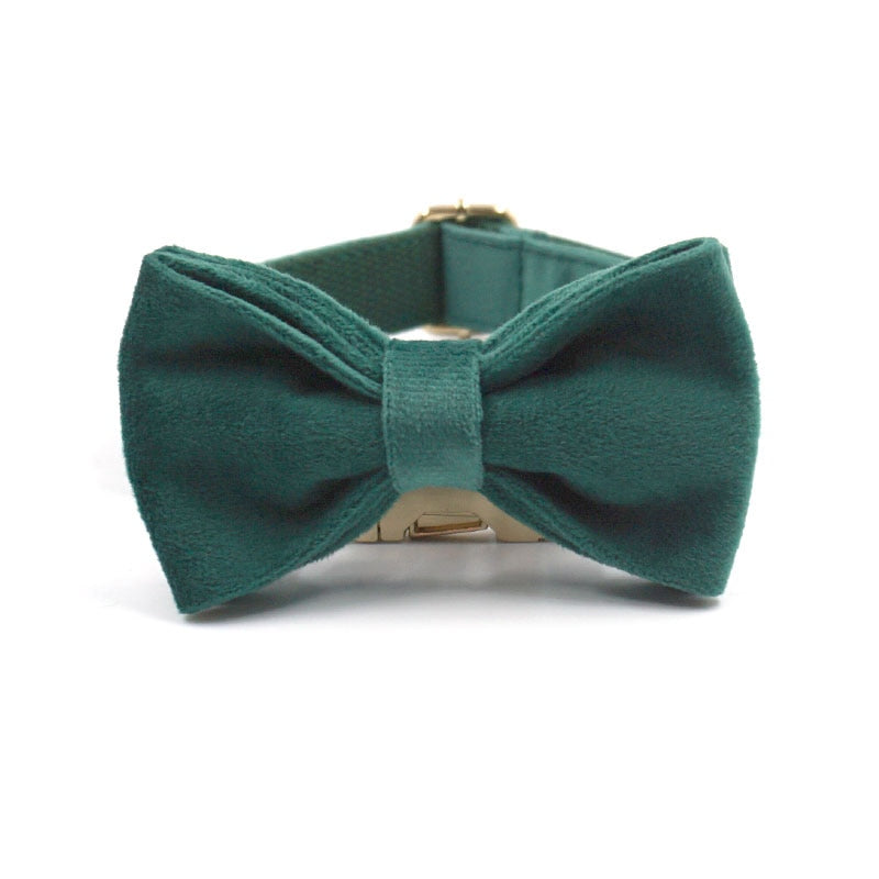 Kelly Green Velvet Collar, Harness, Bow/Bowtie, Leash, and Waste Bag Holder