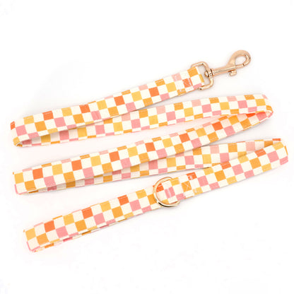 Creamsicle Collar, Leash, and Flower